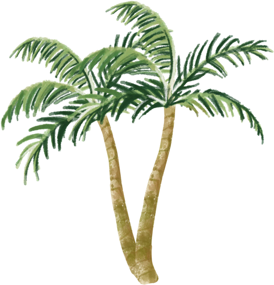 Summer Palm Tree Illustration